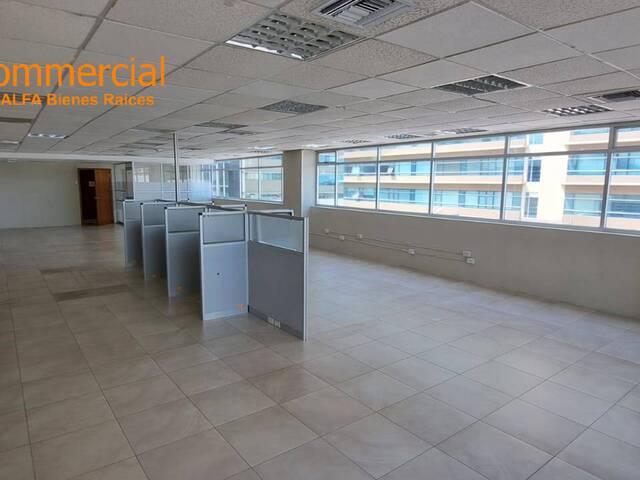 Alquiler oficina 136m2 - Ciudad del Sol Sector Mall del So