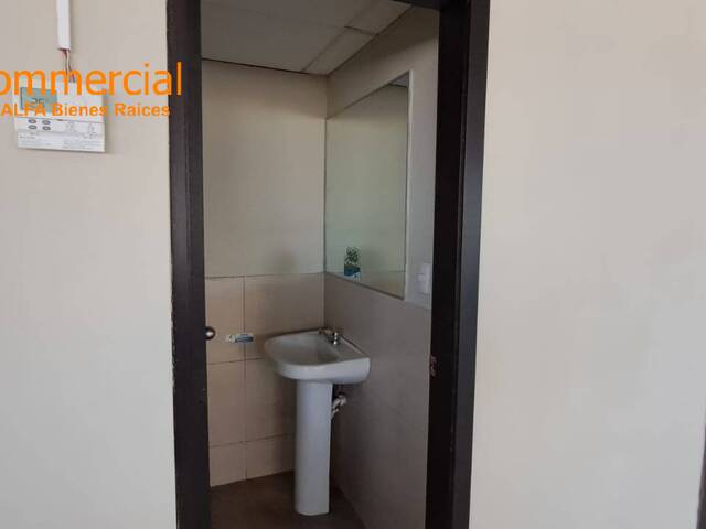Oficinas para Alquiler en Guayaquil - 5