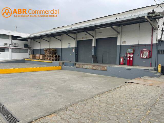 Bodegas para Alquiler en Guayaquil - 5