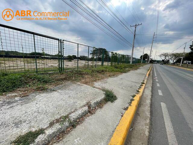 Terreno para Alquiler en Guayaquil - 4