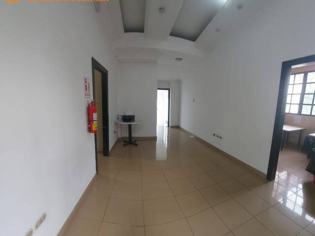 Oficinas para Alquiler en Guayaquil - 4