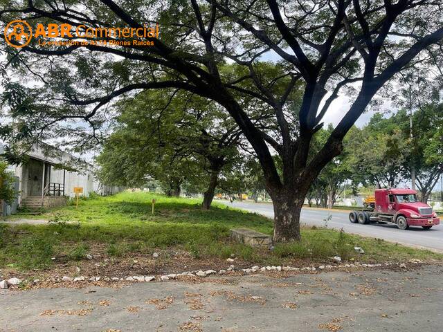 Terreno para Alquiler en Guayaquil - 4