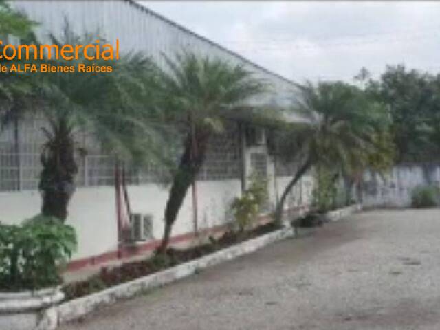 Terrenos Industriales para Venta en Guayaquil - 4