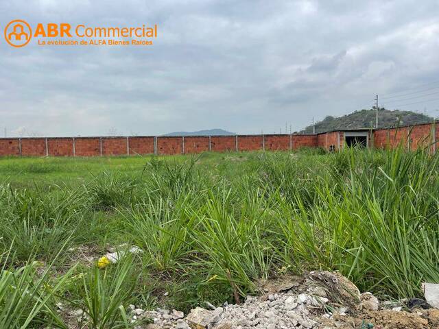 #4691 - Terrenos Industriales para Venta en Daule - G - 2