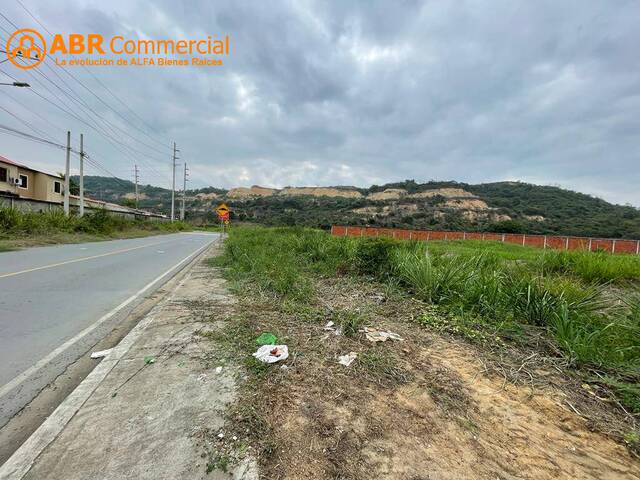 #4691 - Terrenos Industriales para Venta en Daule - G - 1