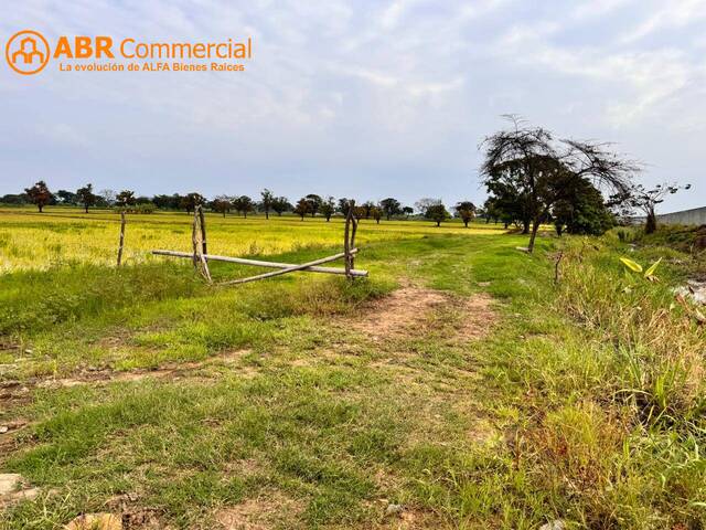 #5109 - Terreno para Venta en Samborondón - G - 1