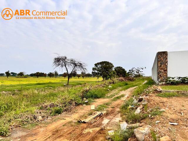 Terreno para Venta en Samborondón - 5