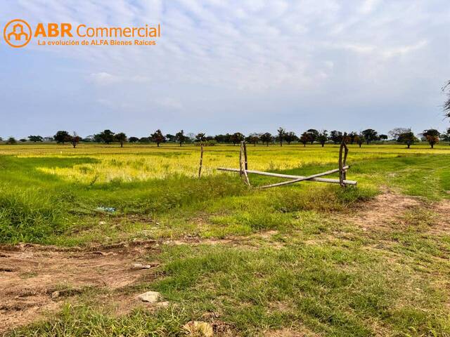 #5109 - Terreno para Venta en Samborondón - G