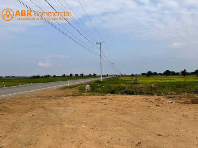 Terreno para Venta en Samborondón - 4