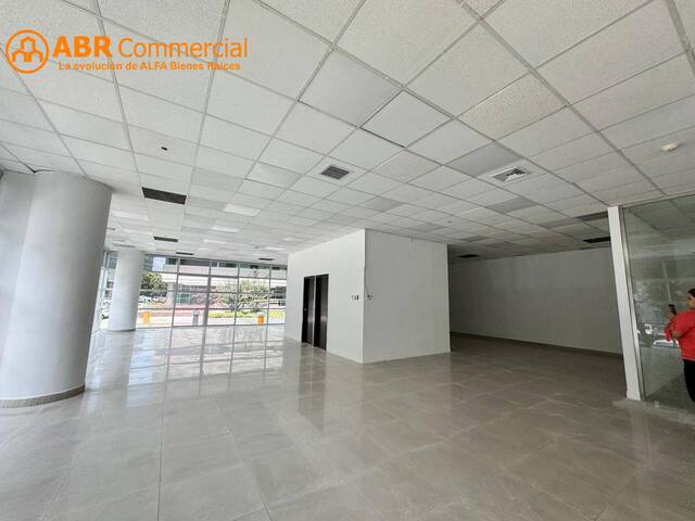 Oficinas para Alquiler en Guayaquil - 4