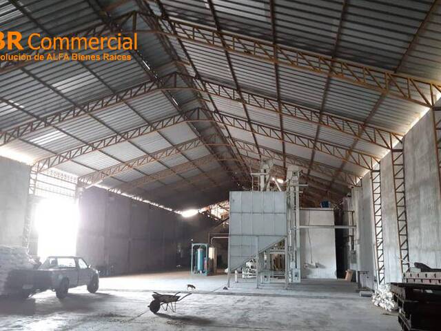 Bodegas para Venta en Yaguachi - 5