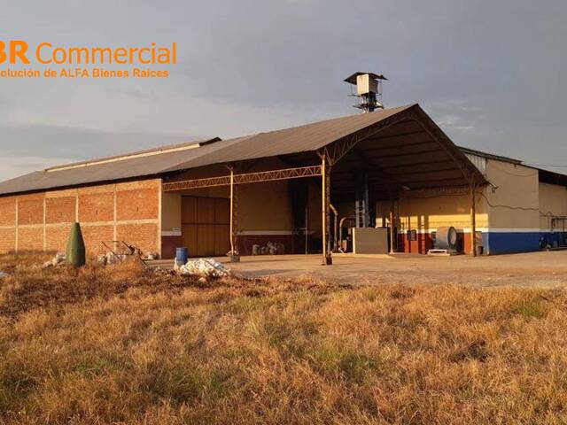 #5275 - Bodegas para Venta en Yaguachi - G - 2