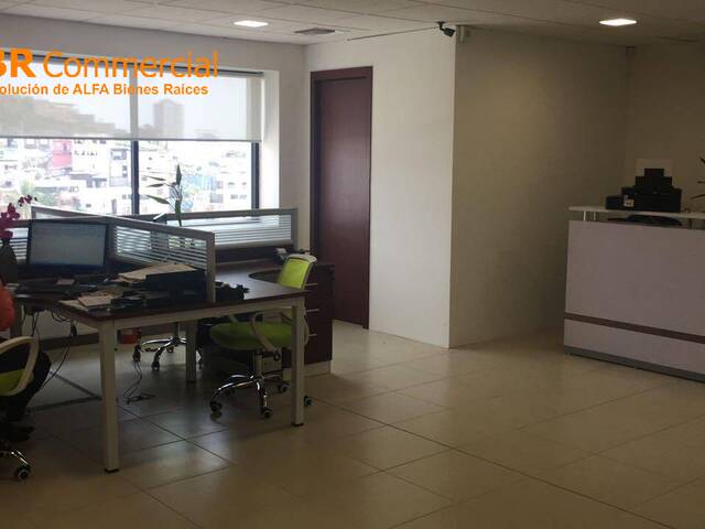 Oficinas para Venta en Guayaquil - 5