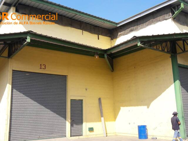 Bodegas para Alquiler en Guayaquil - 4