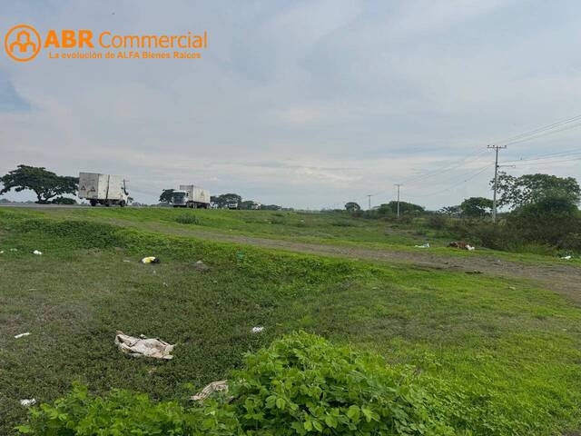 Terrenos Industriales para Venta en Daule - 5