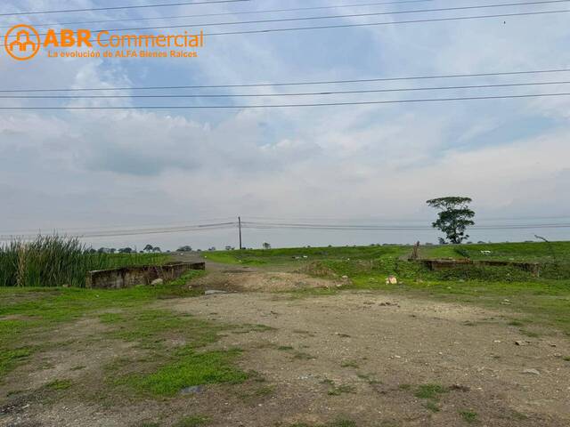 Terrenos Industriales para Venta en Daule - 4