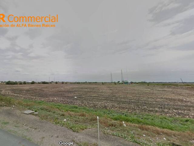 Terrenos Industriales para Venta en Samborondón - 5