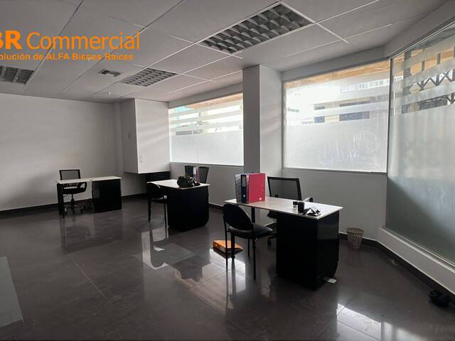 Local Comercial para Alquiler en Guayaquil - 4