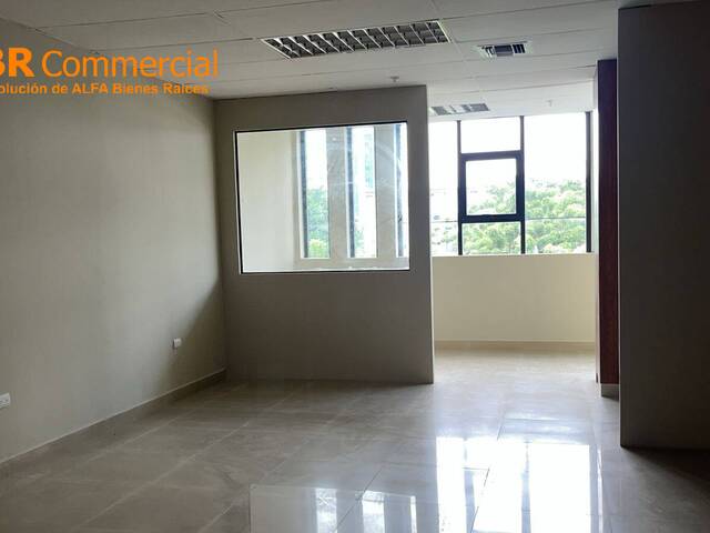 #4554 - Oficinas para Alquiler en Guayaquil - G - 2