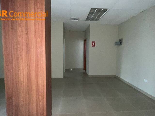 Oficinas para Alquiler en Guayaquil - 4