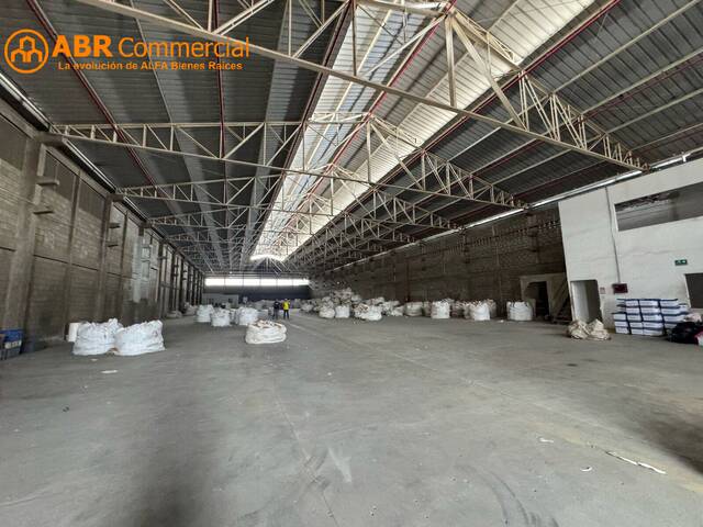 Bodegas para Alquiler en Guayaquil - 4