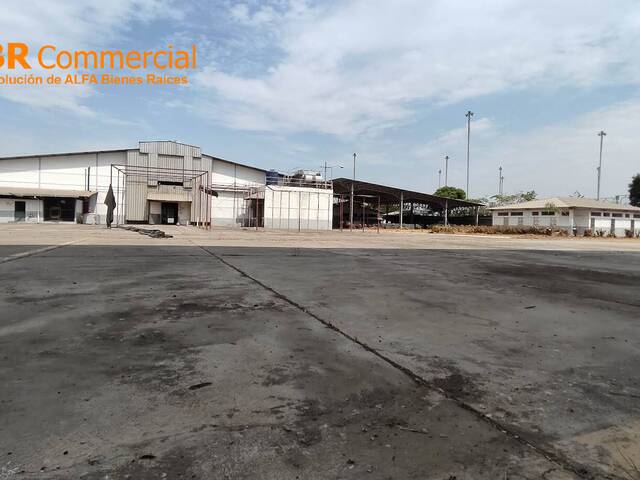 #4645 - Terreno para Alquiler en Guayaquil - G - 3