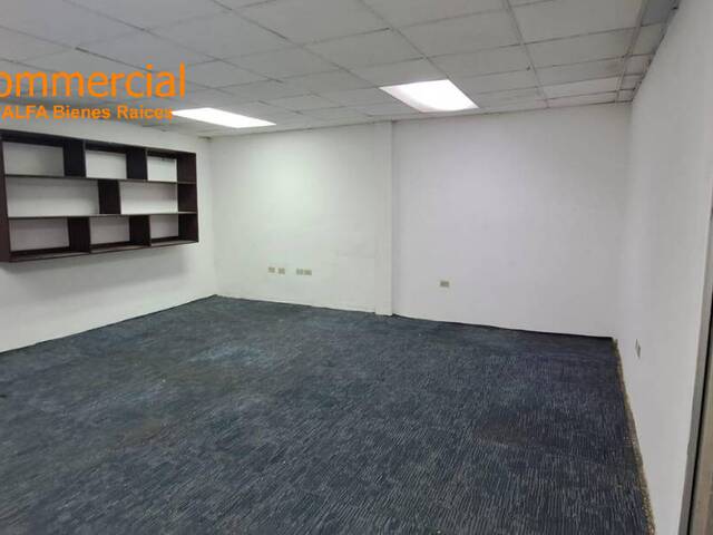 Bodegas para Alquiler en Guayaquil - 5