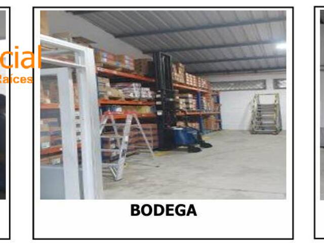 #5743 - Bodegas para Venta en Santo Domingo De Los Tsáchilas - SD - 3