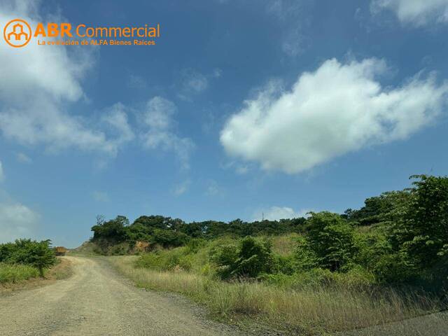 #5745 - Terrenos Industriales para Venta en Guayaquil - G - 3