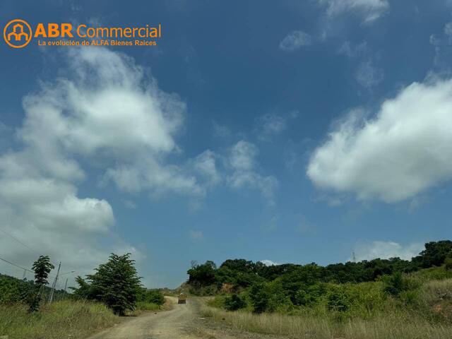 #5747 - Terrenos Industriales para Venta en Guayaquil - G - 2