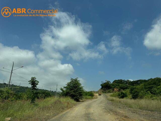 #5748 - Terrenos Industriales para Venta en Guayaquil - G - 2