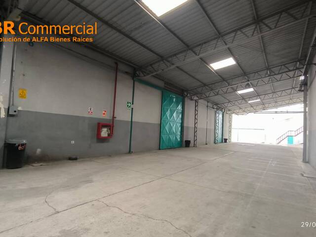 Bodegas para Alquiler en Guayaquil - 5