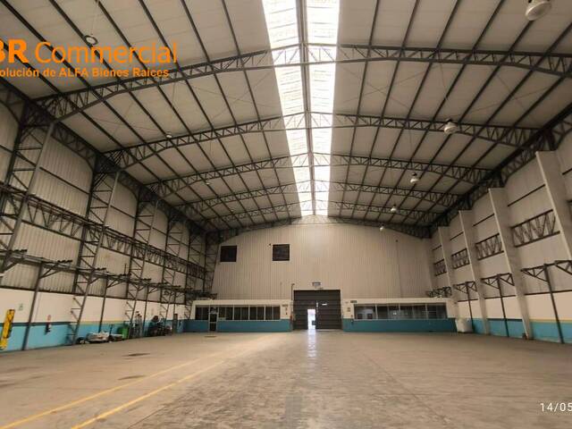 Bodegas para Alquiler en Guayaquil - 4