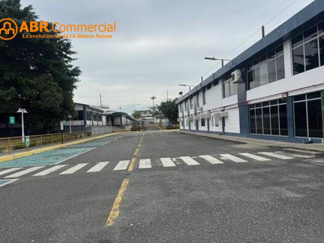 Bodegas para Alquiler en Guayaquil - 4
