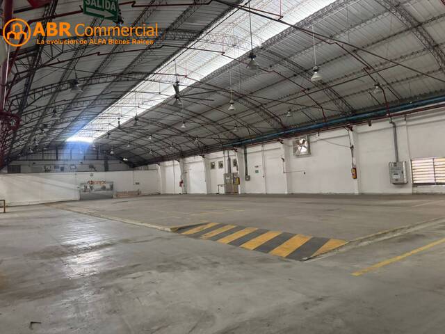 Bodegas para Alquiler en Guayaquil - 5