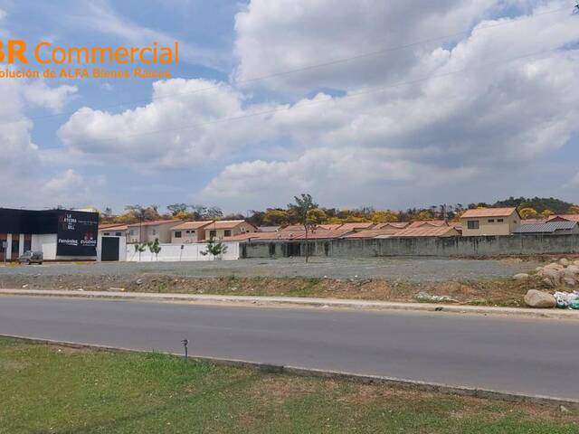 #5851 - Terreno para Venta en Daule - G - 1