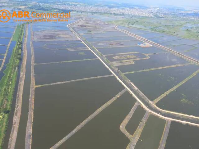 #5890 - Terrenos Industriales para Venta en Durán - G - 2