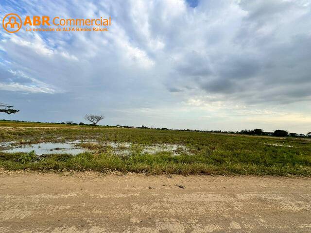 #5914 - Terreno para construir para Venta en Samborondón - G - 1