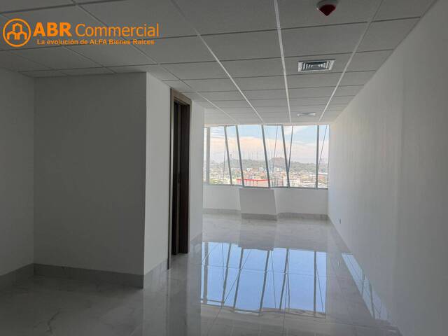Oficinas para Alquiler en Guayaquil - 4