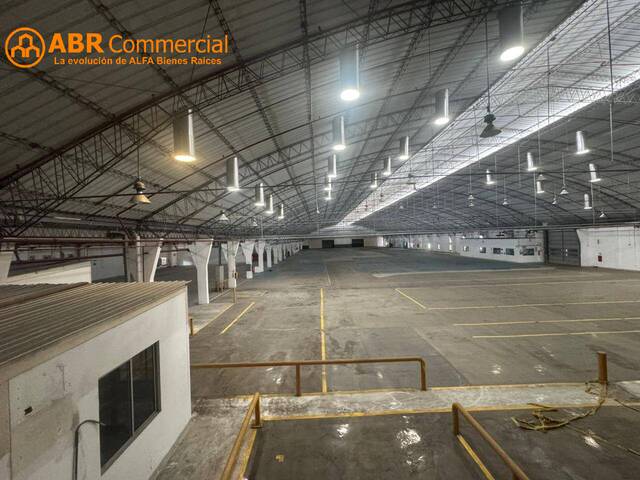 Bodegas para Alquiler en Guayaquil - 4
