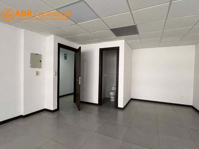 Oficinas para Alquiler en Guayaquil - 4