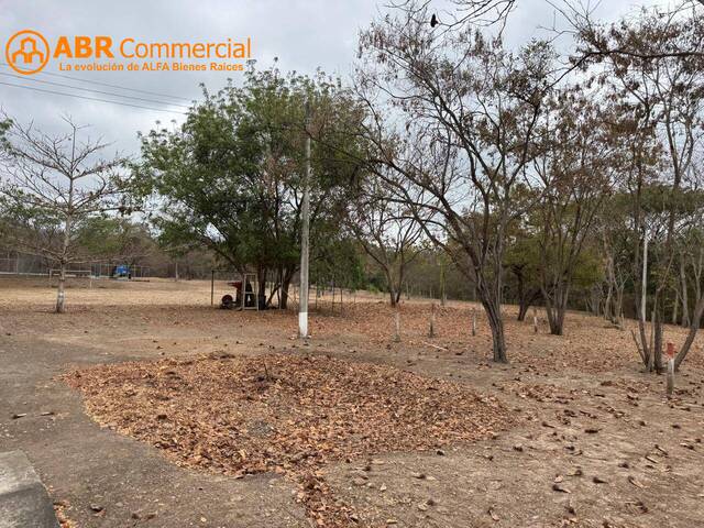 #6018 - Terrenos Industriales para Venta en Guayaquil - G - 2