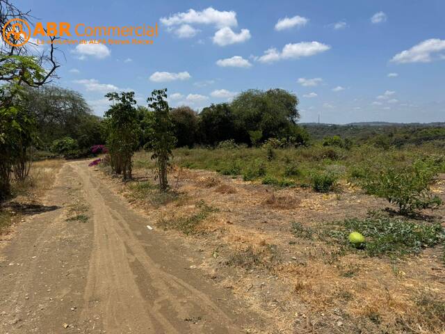 #6051 - Terreno para construir para Venta en Guayaquil - G - 1