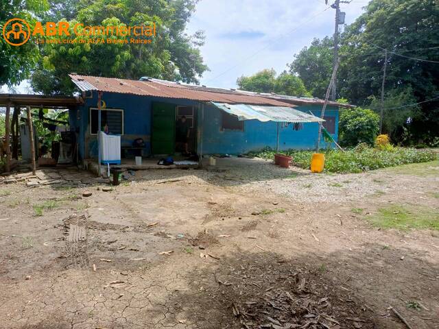 #5057 - Terreno para construir para Venta en Guayaquil - G - 2