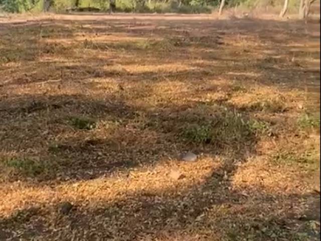 #6114 - Terreno para construir para Venta en Guayaquil - G - 2