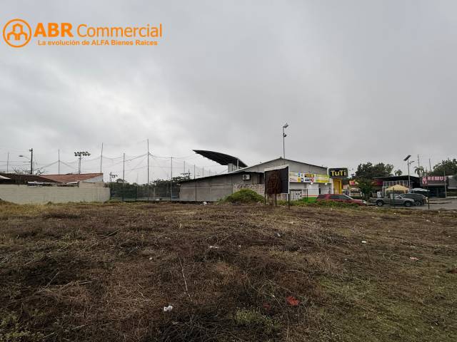 #6119 - Terreno para construir para Venta en Daule - G - 1