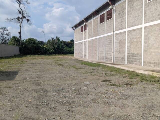 #6153 - Bodegas para Alquiler en Santo Domingo De Los Tsáchilas - SD