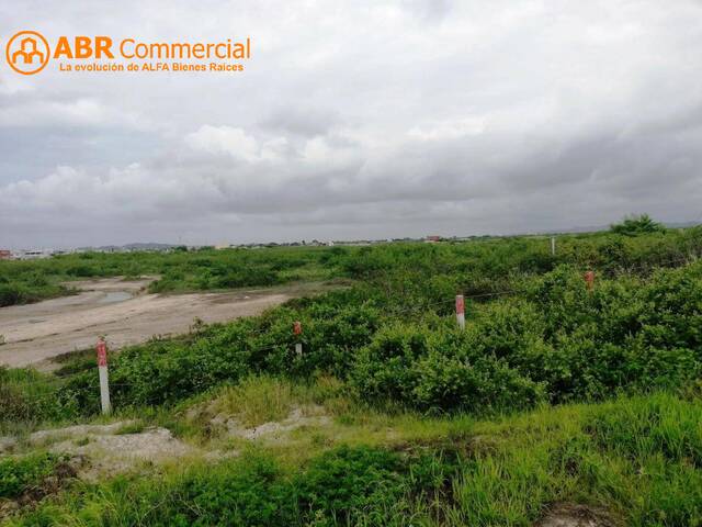 #6180 - Terrenos Industriales para Venta en Guayaquil - G - 3