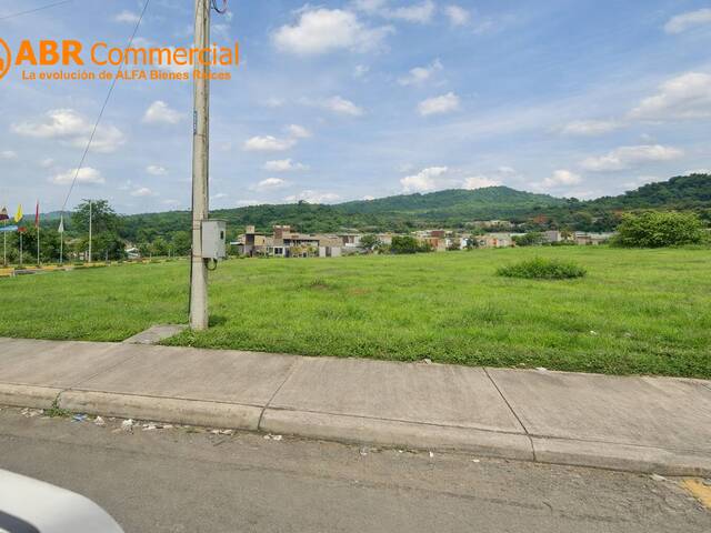 #6236 - Terreno para construir para Venta en Daule - G - 2
