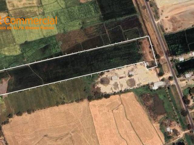 #6248 - Terreno para construir para Venta en Daule - G - 3